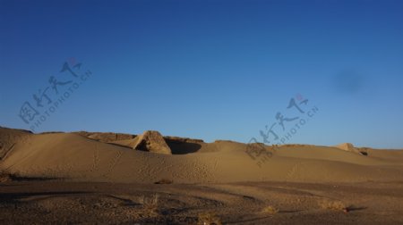 额济纳旗风光图片