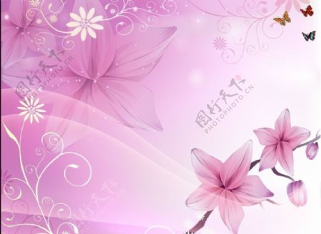 粉色电视背景图蝴蝶和花朵图片