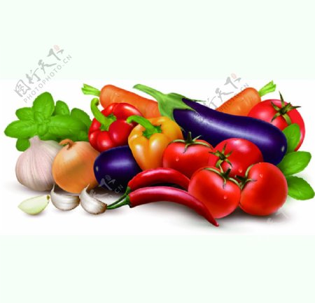 新鲜蔬菜矢量素材图片