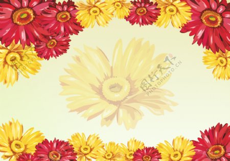 菊花背景墙图片