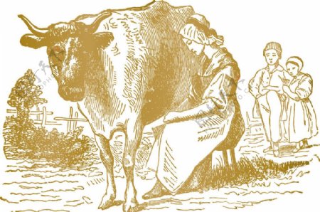 奶牛和女人图片
