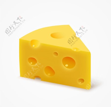 三角奶酪矢量图图片