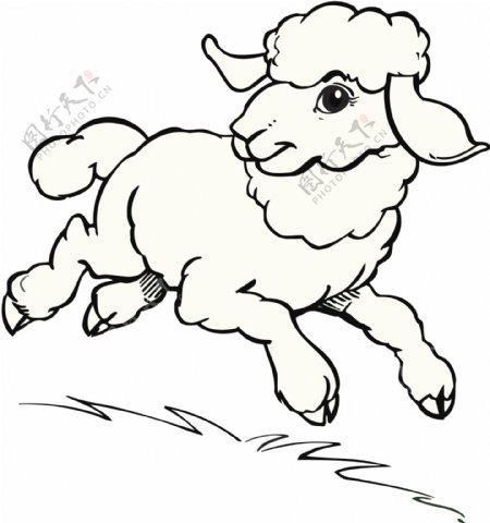 羊简笔画图片
