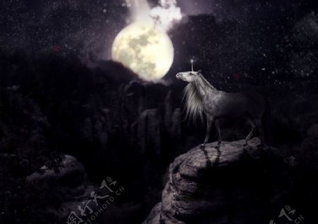 夜空月亮独角马图片