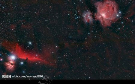 猎户星座内的星云图片