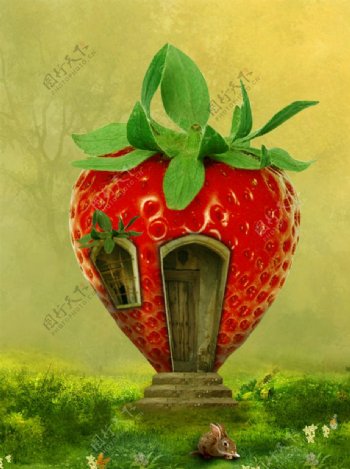 草莓屋子图片