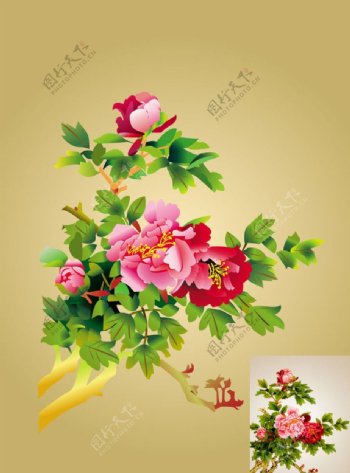 花卉牡丹图图片