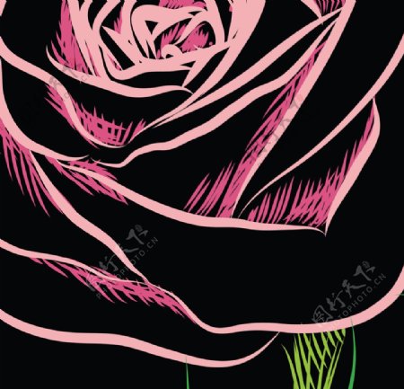 手绘玫瑰花矢量素材图片