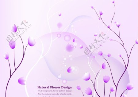 矢量紫色花朵图片