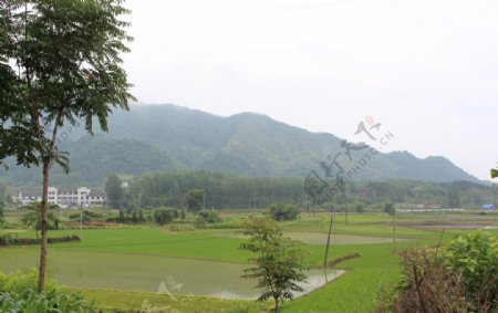 云岭罗里村风景图片