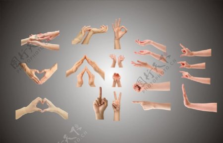 各种样式的手势动作图片