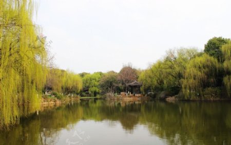 义乌骆宾王公园图片