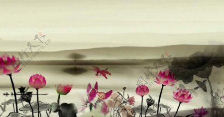 水墨荷花竹子中国风视频素材