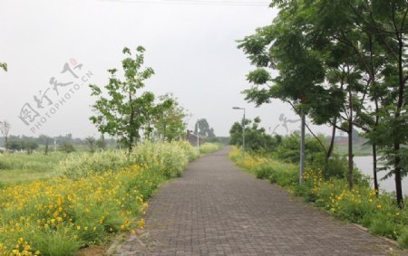 漳州郊野公园图片