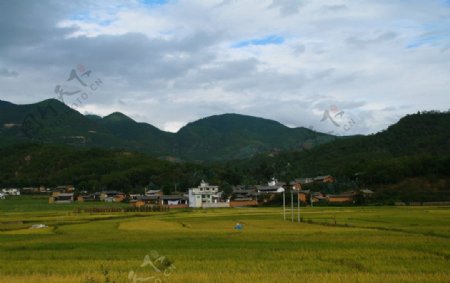 山下乡村稻田风景图片