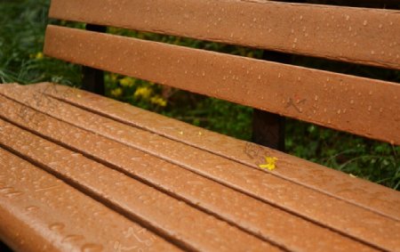 雨后公园座椅上的落花图片
