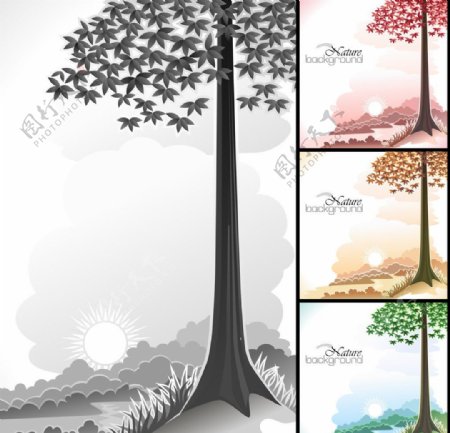 树木背景图片
