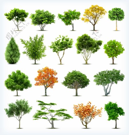 园林树木绿树矢量图片