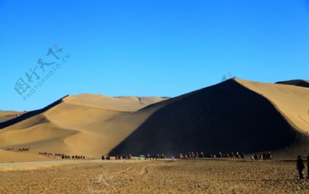沙漠沙丘驼队摄影图片
