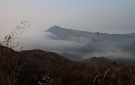 晨雾迷茫图片
