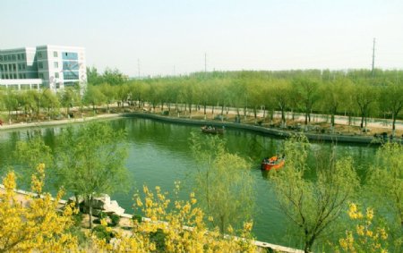 池塘景色图片