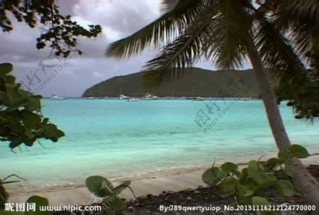 海水椰树海岸视频素材