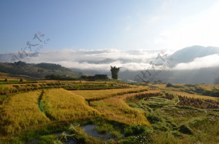 高黎贡山的晨曦图片