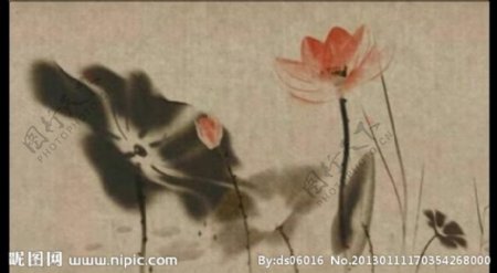 水墨画中国画视频素材