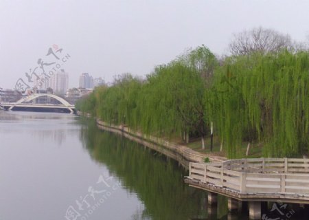 东城河水岸图片