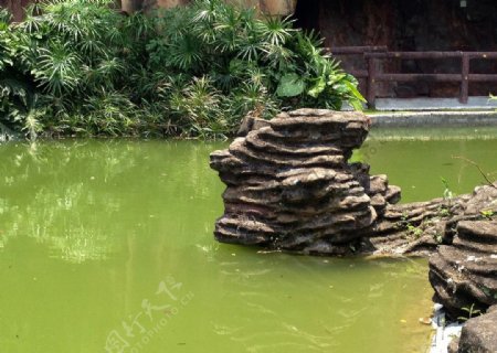 水池中的假山石图片