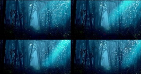 森林光线动态视频素材