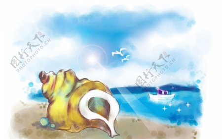 梦幻海滩海螺图片