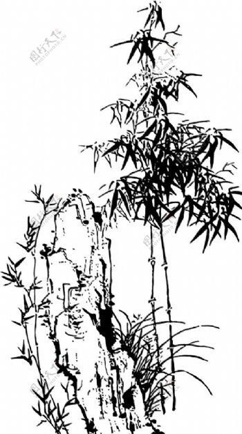 竹子山峰图片