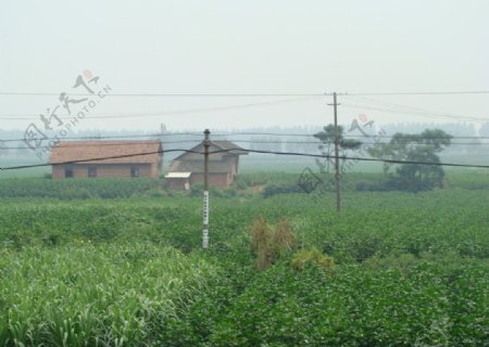 长江边上的村庄图片