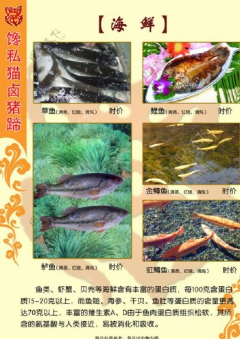 海鲜菜单图片