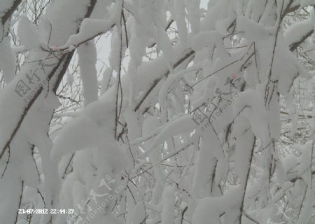 冬天的雪图片