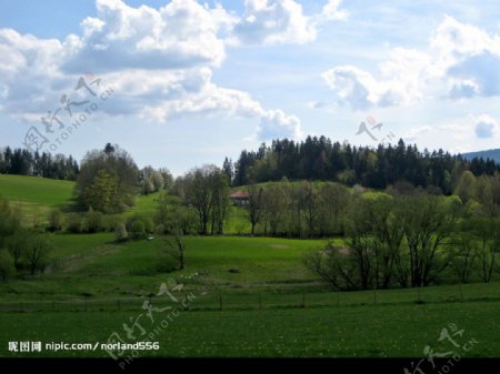 德国北巴伐利亚天然森林公园风景图片