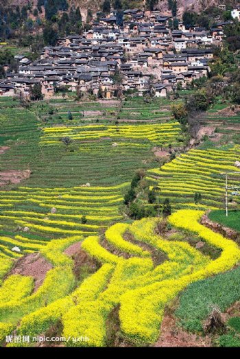 彝家山寨图片