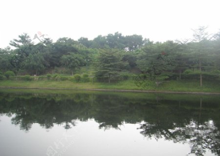 岭南风景图片