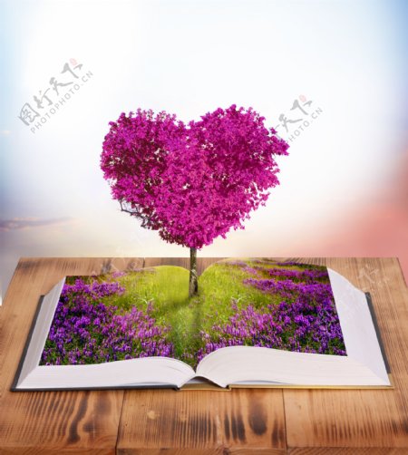 书本中的爱情树图片