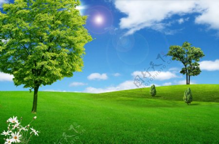 蓝天白云绿地大树图片