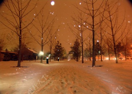 雪中风景图片