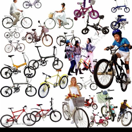 自行车荟萃图片