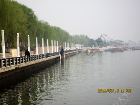 柳叶湖景色图片