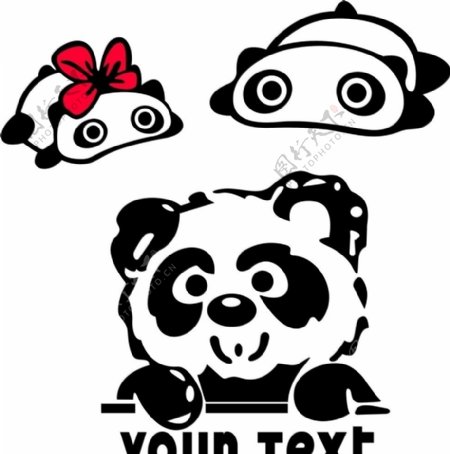 熊猫宝宝图片