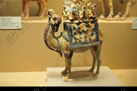 彩陶骆驼图片