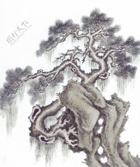 水墨画松树图片