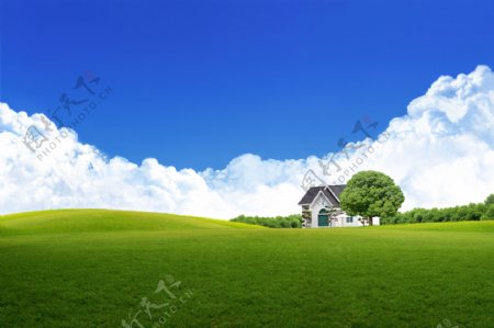 草地上的别墅图片