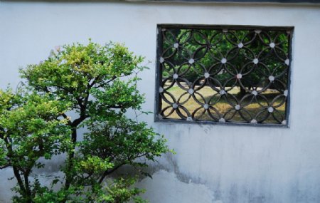 古典风的窗与树图片