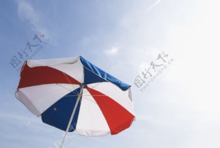 夏日伞图片